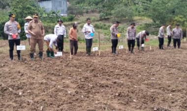 Polres Buton Tanam Jagung Serentak 1 Juta Hektare di Desa Siomanuru