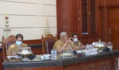 Gubernur Lirik Budidaya Tanaman Porang di Sultra