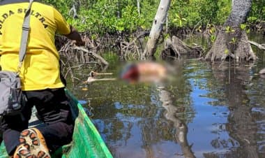 6 Hari Hilang, Lansia Asal Buton Ini Ditemukan Meninggal di Dalam Hutan Bakau