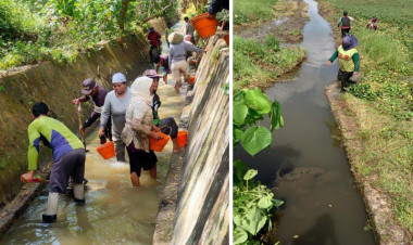 Pemdes Mabulugo Gotong royong Bersihkan Lahan Tidur Jadi Lahan Persawahan