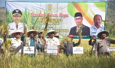 Pj. Bupati Buton Apresiasi Petani Lokal Panen Padi dan Cabai di Tengah Tantangan Iklim
