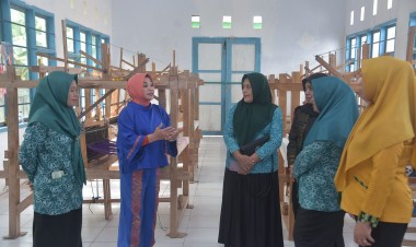 Ketua Dekranasda Kunjungi Sentra IKM Tenunan Wabula