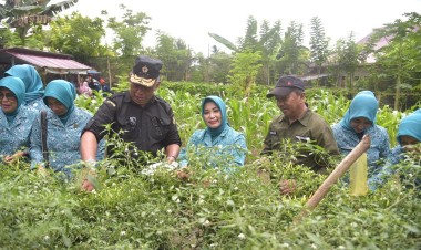 Kendalikan Inflasi di Kabupaten Buton, Pj Ketua TP PKK Ajak Masyarakat Tanam Cabai