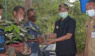 Warga Lasalimu Selatan dan Siotapina Diberi Bantuan Bibit dan Alat Pertanian oleh Bupati