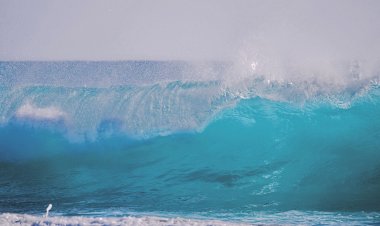 Waspada! Tinggi Gelombang di Perairan Wakatobi Capai 2,5 Meter