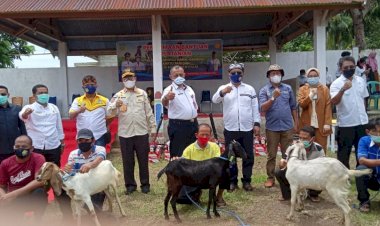 Bupati Buton Serahkan Bantuan Kepada Petani dan Peternak