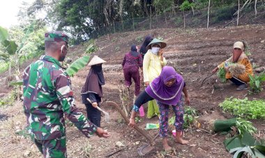 Babinsa Koramil 1413-13/Lasalimu Ajak Warga Binaannya Manfaatkan Lahan Kosong