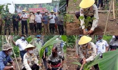 Tanam Ribuan Bibit Pala dan Kelapa, Upaya Bupati Mensejahterakan Masyarakat Buton di Masa yang Akan Datang