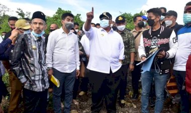 Ternyata Jembatan Buton-Muna Digagas Ali Mazi Sejak Tahun 2003, Berikut Ukurannya