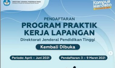 Kemendikbud Buka Lowongan Magang untuk Mahasiswa, Berminat? Ini Posisi dan Syaratnya