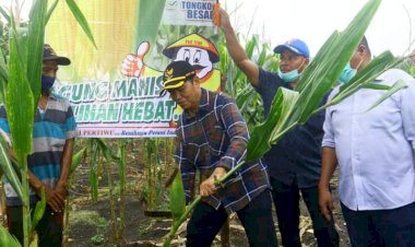 Kelompok Tani Kaikalu Kakenauwe-Buton Akan Diberi Bantuan Alsintan oleh Pemerintah