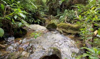 Gegara Covid-19, Revitalisasi Bendungan Mata Air di Desa Warinta Batal Terealisasi
