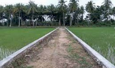 Tahun Ini, Pemdes Benteng Akan Bangun Deker di Jalan Tani