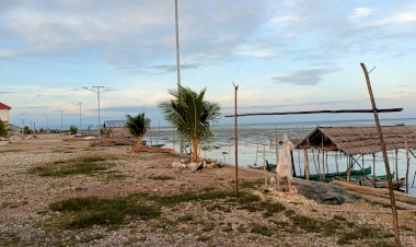 Pembangunan Talud Pantai di Desa Holimombo Telah Dikerjakan