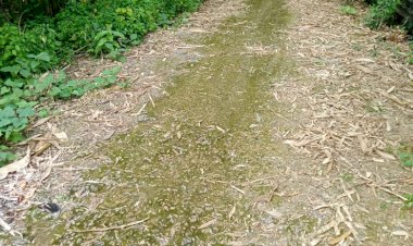 Tahun Ini Jalan Usaha Tani Desa Lapodi Bakal Diaspal