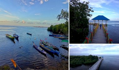 Fasilitas Ekowisata Mangrove di Desa Koholimombono Terus Ditambah