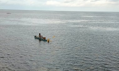 Strategi Ketahanan Pangan Warga Desa Wasampela di Masa Pandemi Covid-19