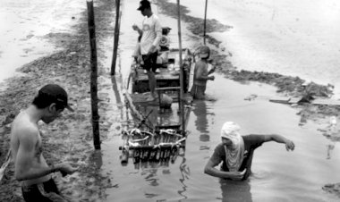 Kades Wabula I Sebut Kanal Laut Mampu Tingkatkan Ekonomi Masyarakat, Ini Alasannya