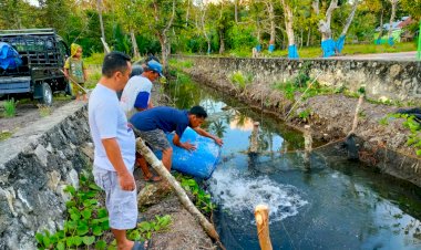 Pemdes Kabawakole Buat Program Normalisasi Saluran Air untuk Budidaya Lele