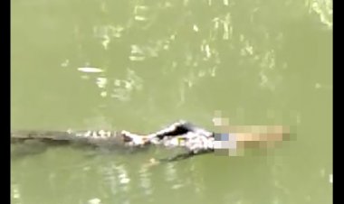 Asik Mandi di Kali, Seorang Anak di Buton Diterkam Buaya