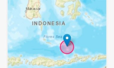 Gempa Bumi 7,5 SR di Laut Flores, BMKG Keluarkan Peringatan Dini Tsunami, Buton Salah Satunya