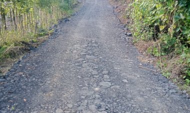 Pengaspalan Jalan Usaha Tani di Desa Lapodi Telah Selesai Dikerjakan
