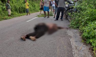 Diduga Korban Tabrak Lari, Pria Lansia Asal Buton Ditemukan Tewas di Pinggir Jalan Poros Kamaru-Baubau