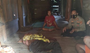 Pelaku Tabrak Lari Lansia di Buton Telah Menyerahkan Diri, Berikut Kronologi Kejadiannya