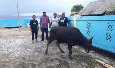 Warga Desa Kondowa Dapat Bantuan 6 Ekor Hewan Kurban, 2 Ekor Sapi dan 4 Ekor Kambing