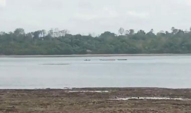 Cegah Destructive Fishing Kades Mabulugo Bakal Turunkan Drone