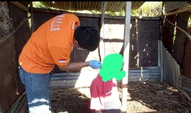 Seorang Pria di Buton Ditemukan Gantung Diri di Kandang Kambing