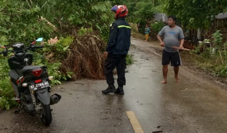 Bersama Warga, Bhabinkamtibmas Polsek Sampuabalo Bersihkan Pohon Tumbang di Jalan Poros Siontapina-Lasalimu