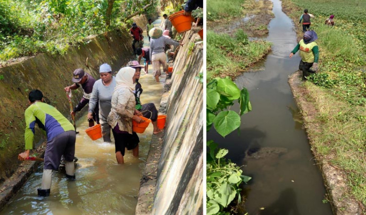 Pemdes Mabulugo Gotong royong Bersihkan Lahan Tidur Jadi Lahan Persawahan