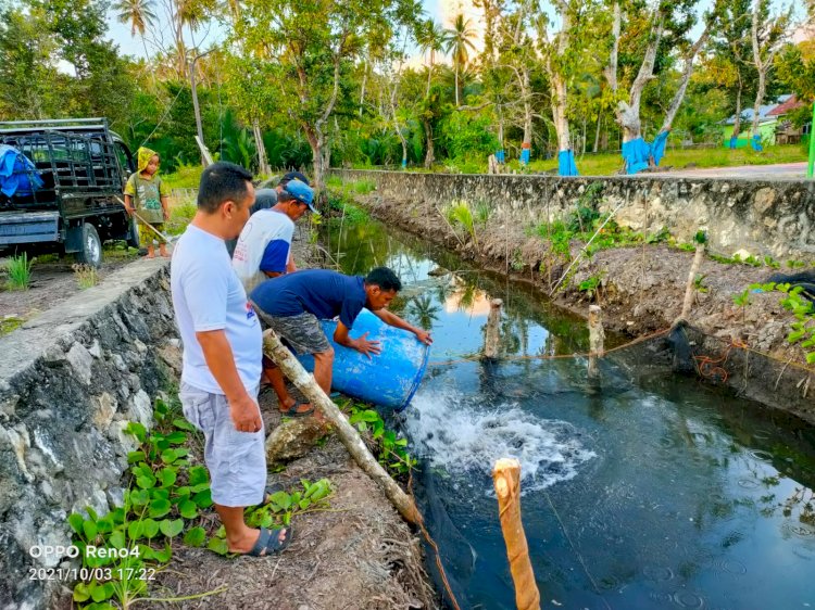 Pemdes Kabawakole Buat Program Normalisasi Saluran Air untuk Budidaya Lele