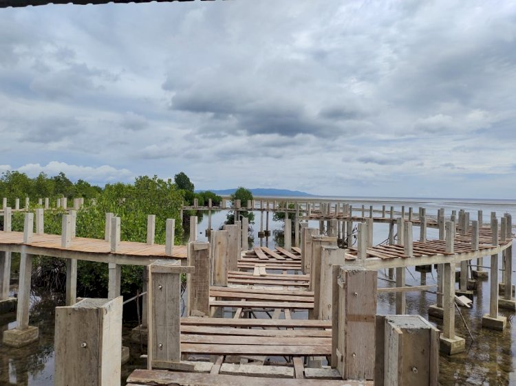 Pembangunan Fasilitas Ekowisata Mangrove Desa Koholimombono 80 Persen Rampung
