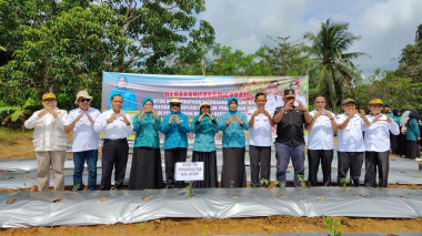 TP PKK Kabupaten Buton Laksanakan Aksi Gerakan Tanam Cabai Serentak se-Sultra